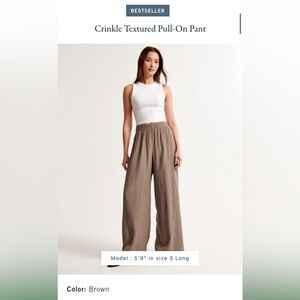 Abercrombie and Fitch Crinkle Textured Pull-On Pant: Small, Brown